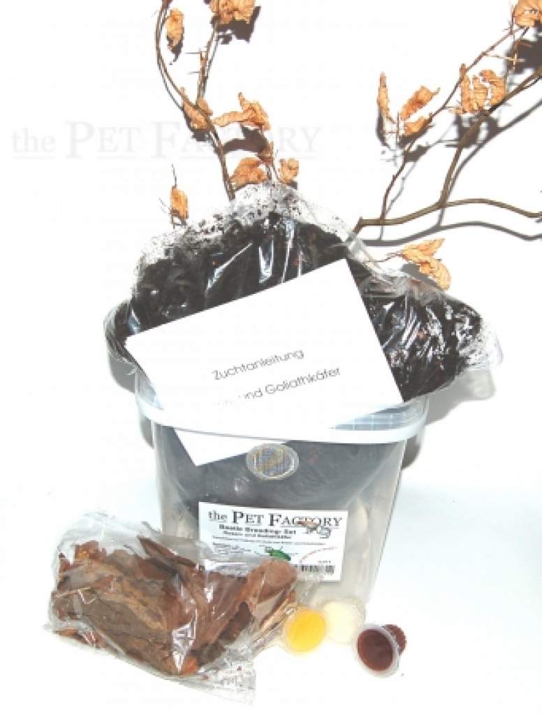 Beetle Breeding Set -Für Käfer